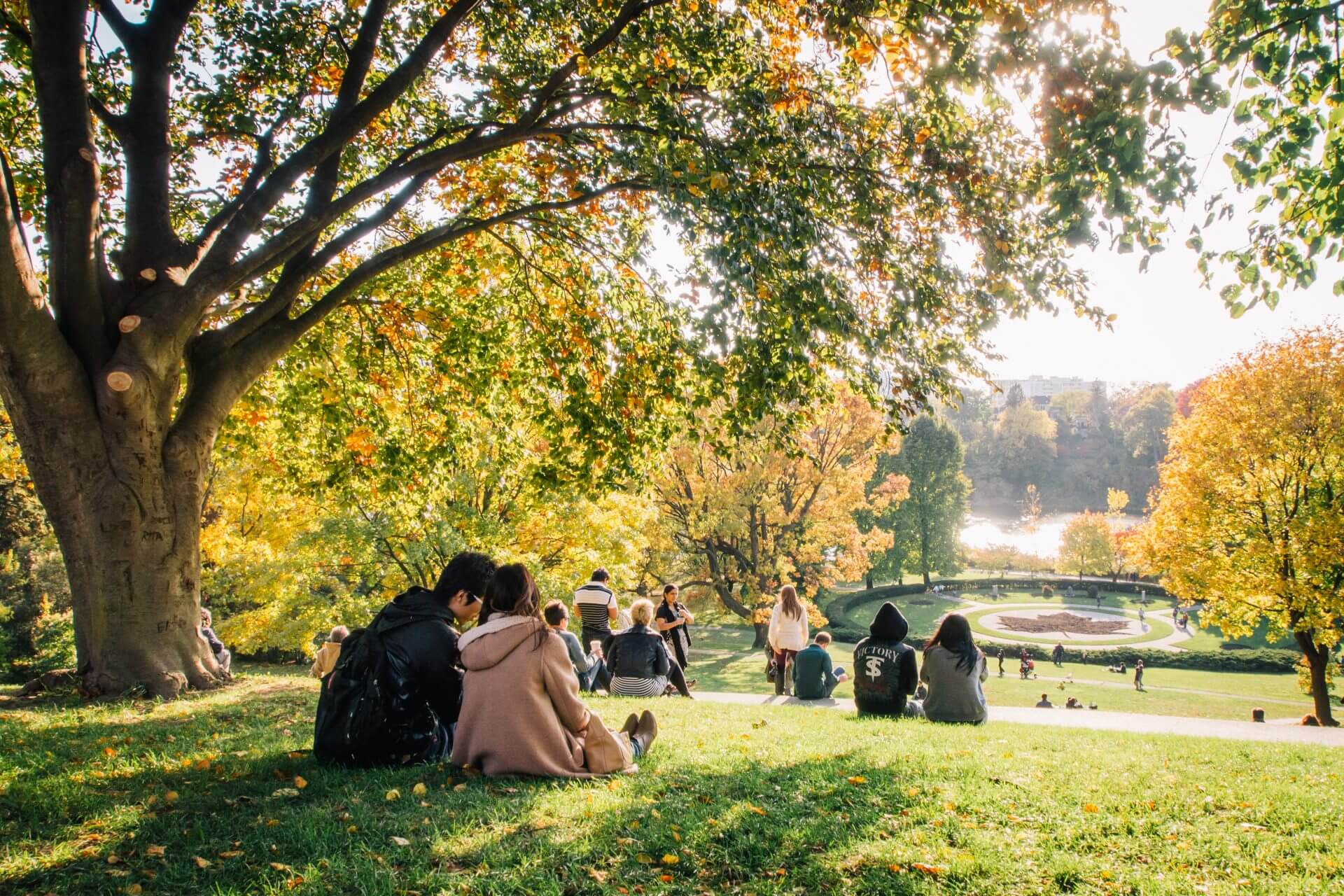 A couple sitting in High Park on a sunny day