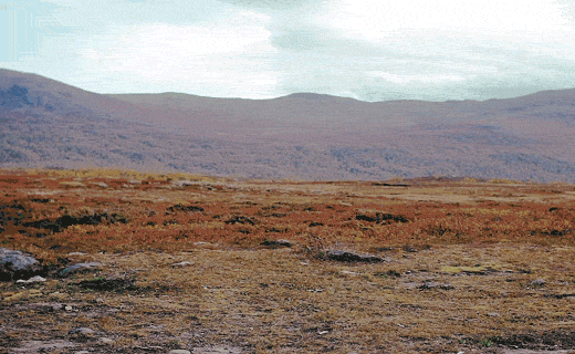 Two men hiking with backpacks