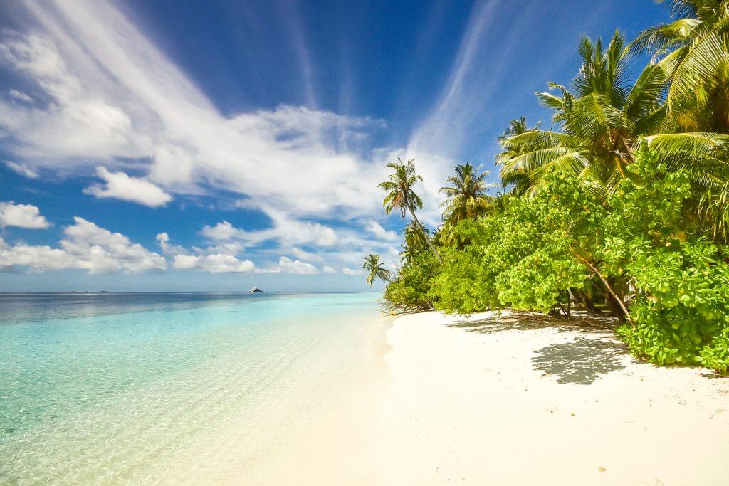 sunny beach 