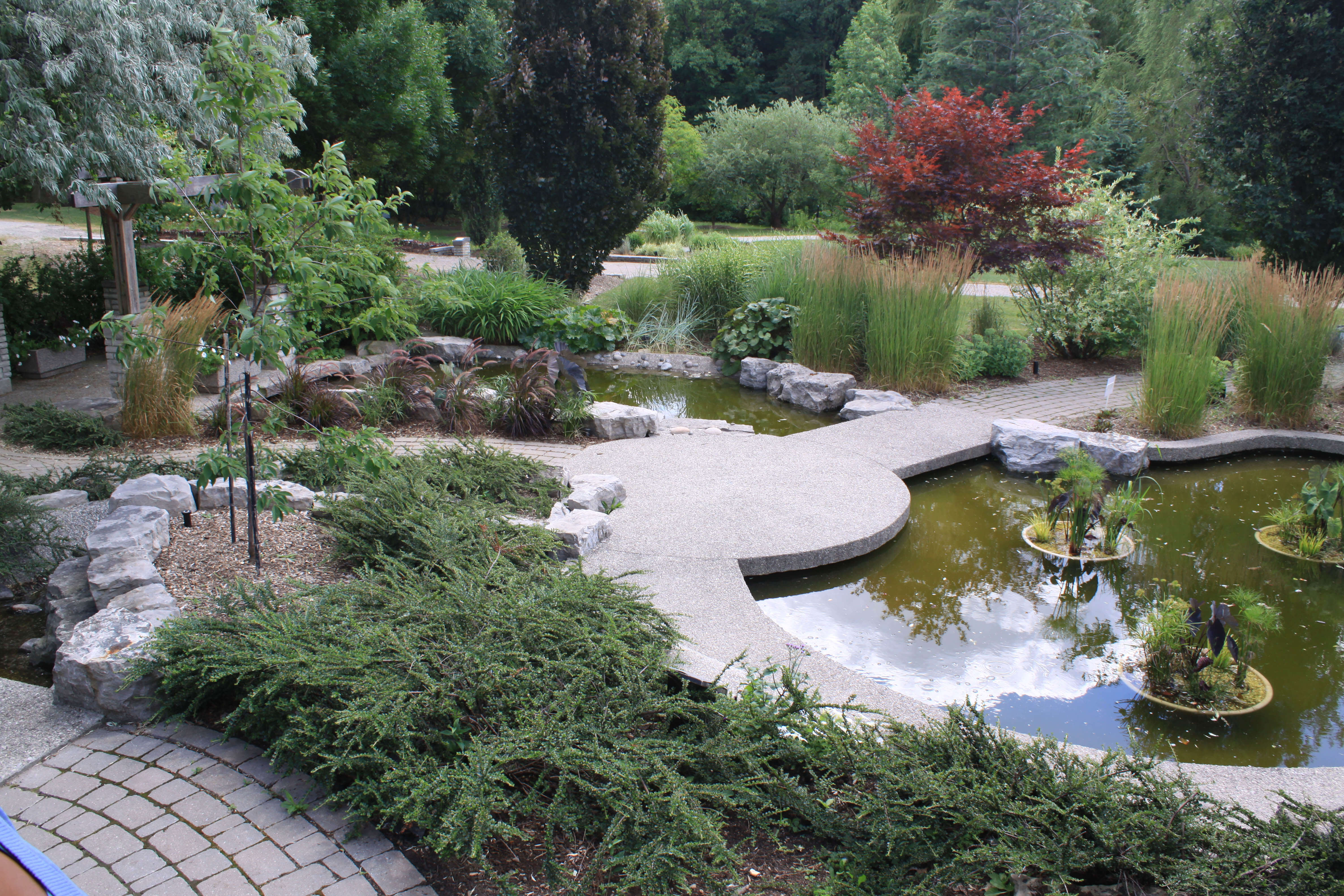 Tranquility garden in the Humber Arboretum