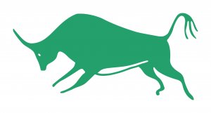 bull