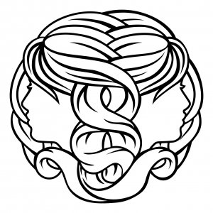 Gemini twins