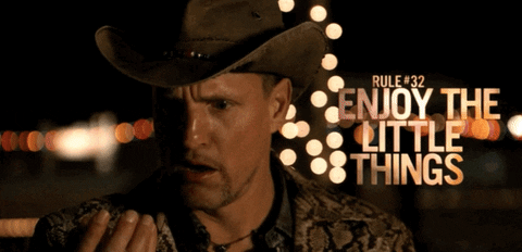 Zombieland rule #32 "enjoy the little things"