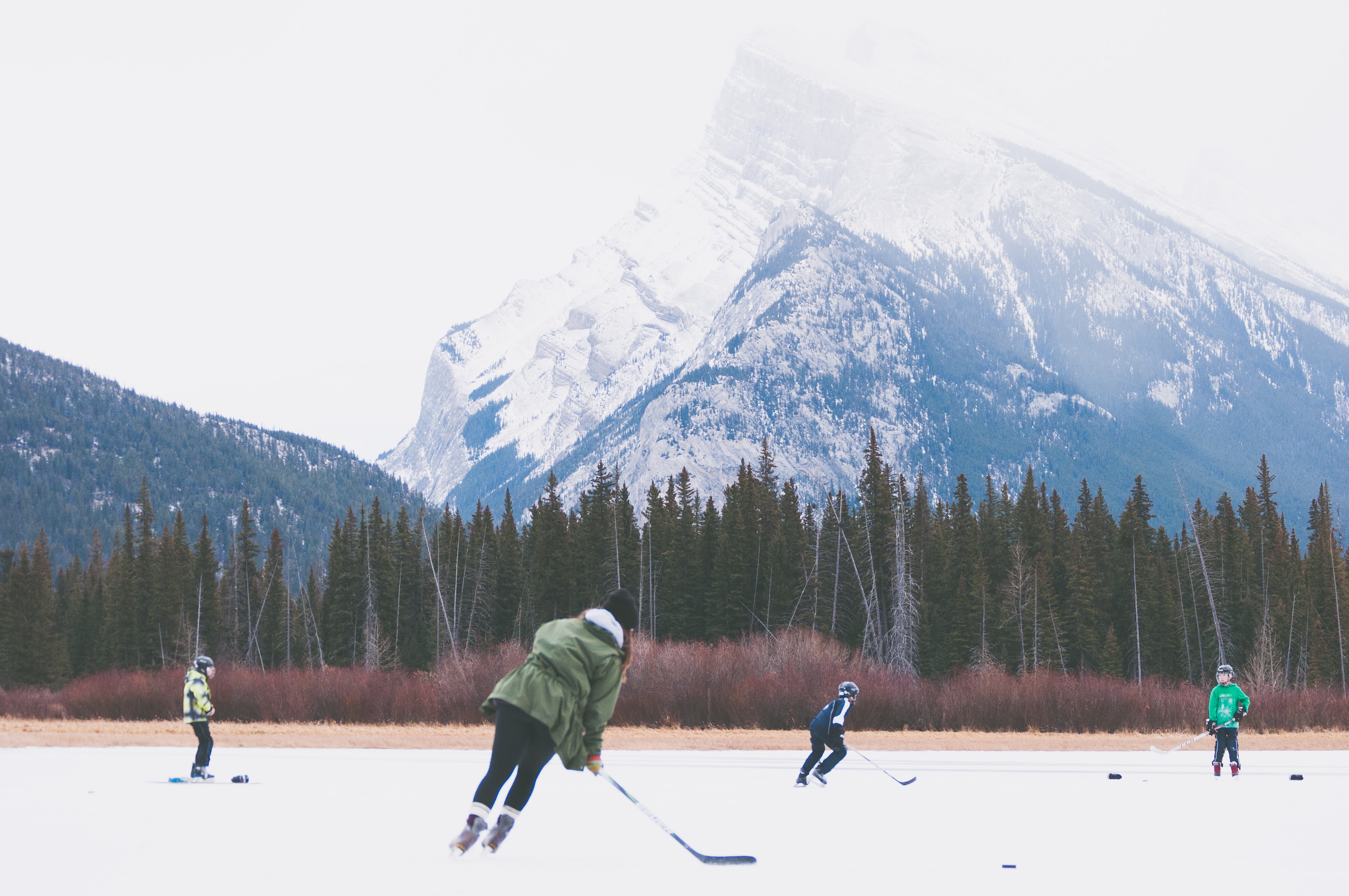 people playing hockey