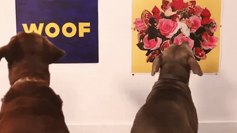 Dogs barking at art in gallery