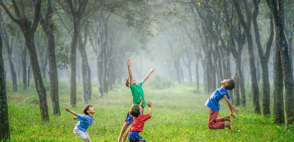 Four boys playing in a forest 
